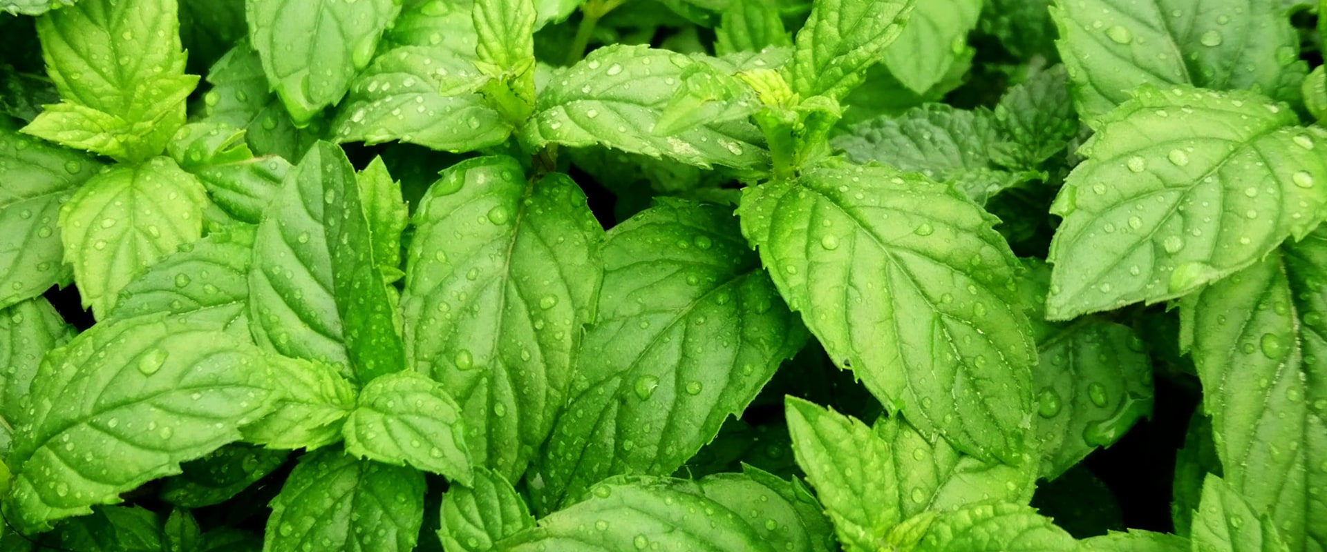 What is natural remedies for sore throat?