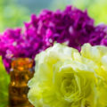 From Island Botanicals To Natural Remedies: The Magic Of Maui Miracle Oils